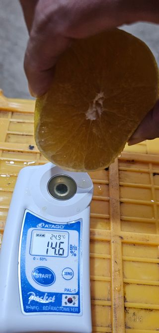 새달귤농장님의 작성글 사진