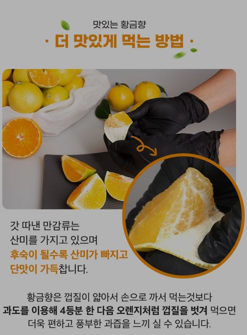 새달귤농장님의 장터 판매 상품 [고당도 황금향(혼합형)4.5키로] 첨부 사진