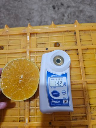 새달귤농장님의 작성글 사진