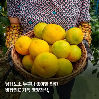 새달귤농장님의 작성글 사진