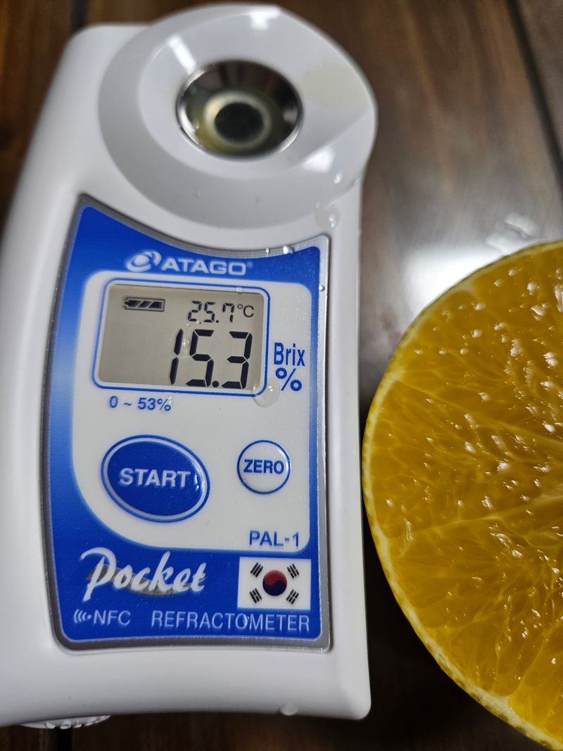 새달귤농장님의 장터 판매 상품 [고당도 황금향(혼합형)4.5키로] 첨부 사진