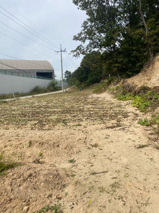 김유찬님의 들깨 · 영농일지 작성글 사진