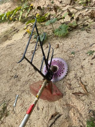 김유찬님의 들깨 · 영농일지 작성글 사진