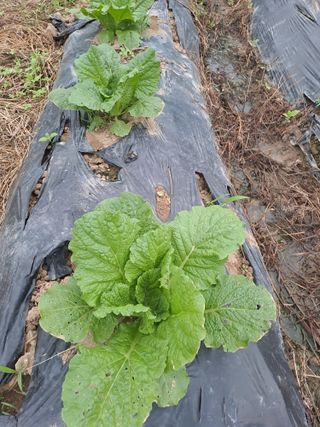 박흠님의 자유주제 · 사진전 작성글 사진