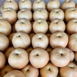 팜모닝 배·영농일지 게시글 이미지