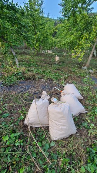 김해주님의 기타작물 · 영농일지 작성글 사진