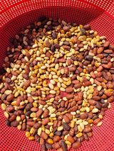 팜모닝 콩·영농일지 게시글 이미지