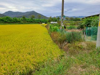 토마토15413님의 자유주제 · 칭찬해요 작성글 사진