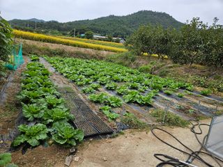백호순(후추)님의 자유주제 · 자유게시판 작성글 사진