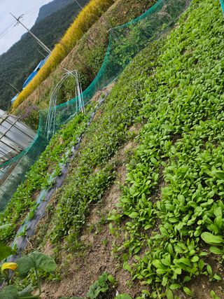 백호순(후추)님의 자유주제 · 자유게시판 작성글 사진