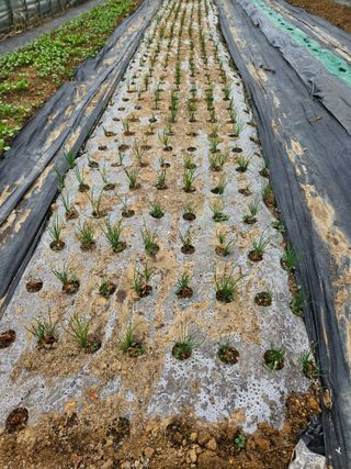 백호순(후추)님의 자유주제 · 자유게시판 작성글 사진