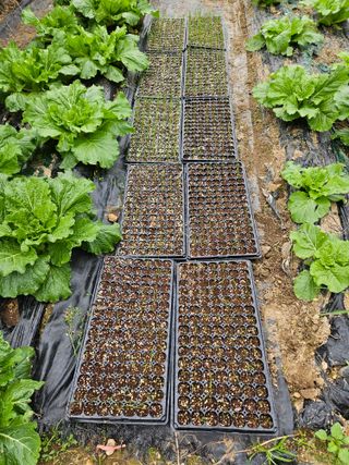 백호순(후추)님의 자유주제 · 자유게시판 작성글 사진