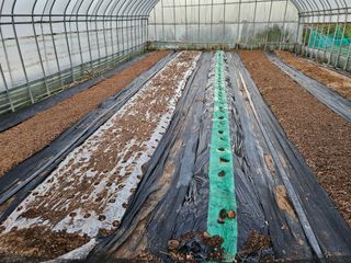 백호순(후추)님의 자유주제 · 자유게시판 작성글 사진