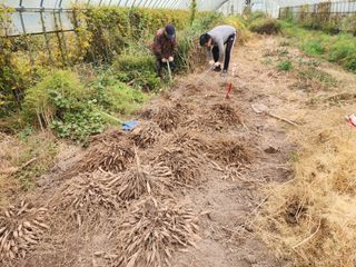 이창신님의 자유주제 · 자유게시판 작성글 사진