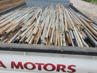 금은숙님의 고추 · 영농일지 작성글 사진