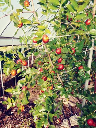 이응혁님의 작성글 사진