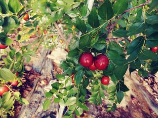 이응혁님의 작성글 사진