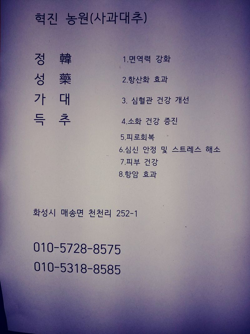 이응혁님의 장터 판매 상품 [사과대추 2kg(선물용)] 첨부 사진