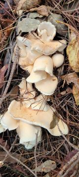 팜모닝 자유주제·자유게시판 게시글 이미지