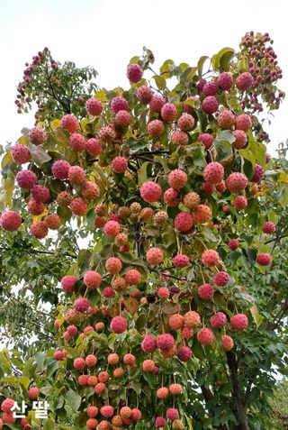 박병규님의 작성글 사진