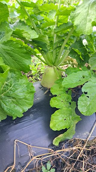 명한님의 자유주제 · 자유게시판 작성글 사진