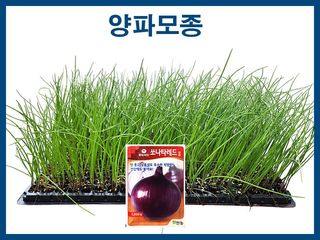 안산제일농약사님의 작성글 사진