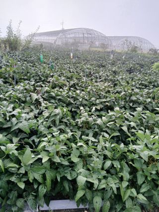 유희복님의 자유주제 · 자유게시판 작성글 사진