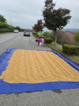 팜모닝 자유주제·자유게시판 게시글 이미지