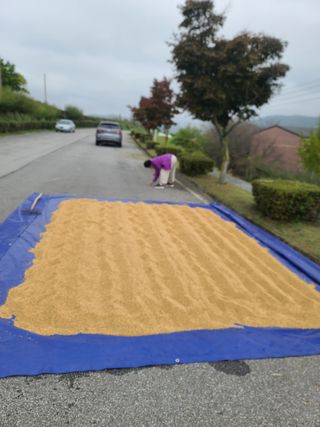 서호님의 자유주제 · 자유게시판 작성글 사진