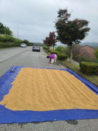 서호님의 자유주제 · 자유게시판 작성글 사진