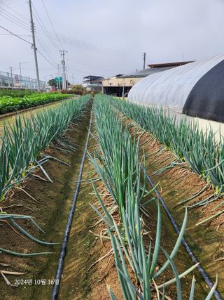 김시내 님의 자유주제 · 사진전 작성글 사진