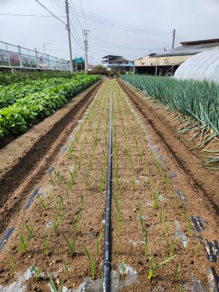 김시내 님의 자유주제 · 사진전 작성글 사진