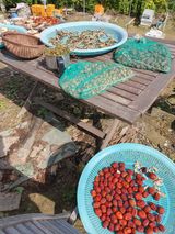 팜모닝 자유주제·자유게시판 게시글 이미지