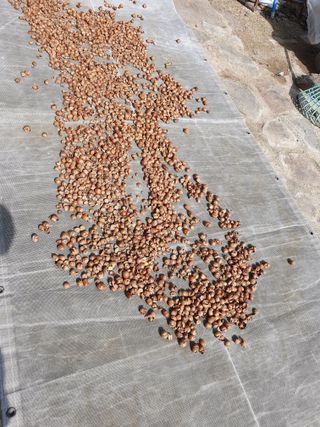 김철원,바람산인님의 자유주제 · 자유게시판 작성글 사진