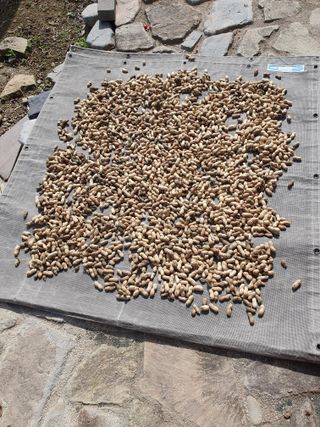 김철원,바람산인님의 자유주제 · 자유게시판 작성글 사진