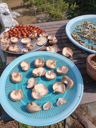 김철원,바람산인님의 자유주제 · 자유게시판 작성글 사진