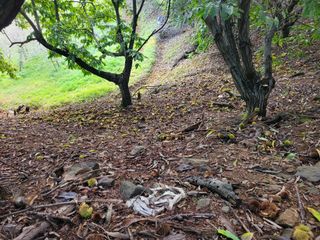 홍가네수정농장님의 기타작물 · 영농일지 작성글 사진