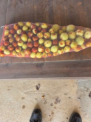 자연인님의 자유주제 · 자유게시판 작성글 사진