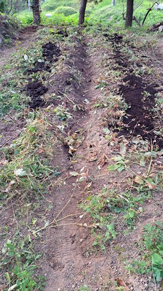 나도농부님의 기타작물 · 영농일지 작성글 사진