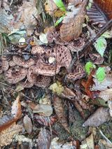 팜모닝 자유주제·자유게시판 게시글 이미지