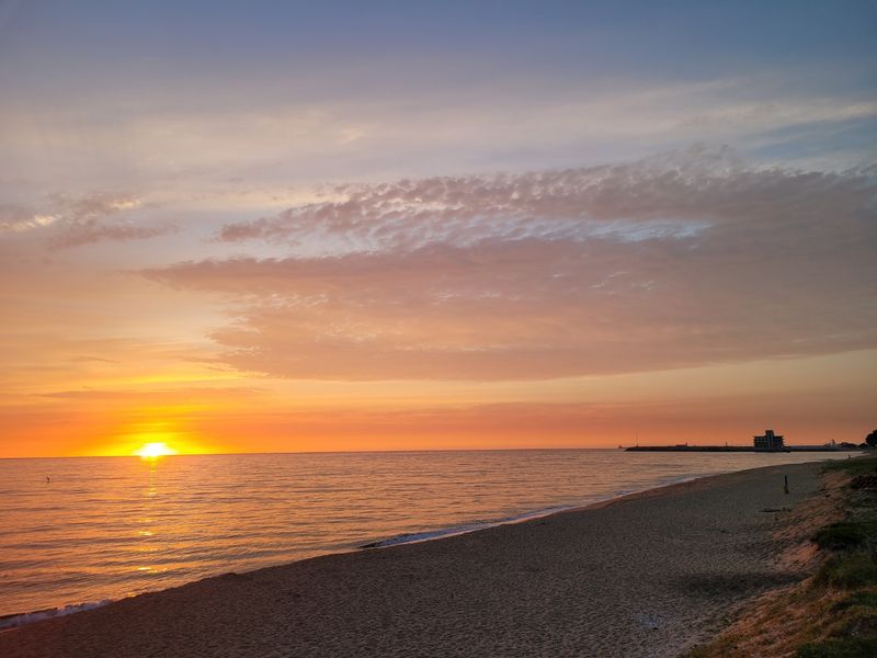 장터 상품 [농사관련정보 공유] 썸네일