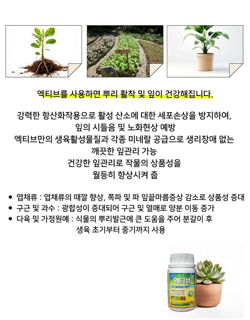 신탄진농약비료마트님의 장터 판매 상품 [마늘 양파 종자소독, 뿌리활착 코리아아그로 엑티브] 첨부 사진