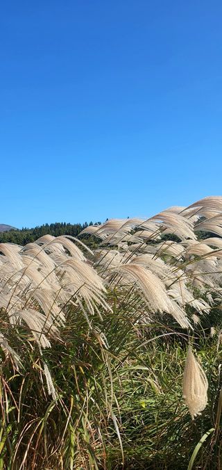 팔코스님의 자유주제 · 자유게시판 작성글 사진