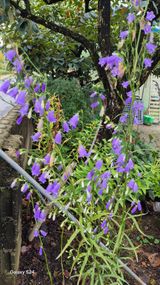 팜모닝 자유주제·자유게시판 게시글 이미지