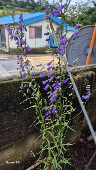 김영래큰집참농장한우님의 자유주제 · 자유게시판 작성글 사진
