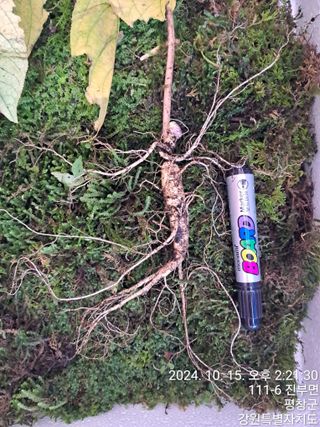 강뚝님의 자유주제 · 자유게시판 작성글 사진