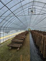 팜모닝 버섯·영농일지 게시글 이미지