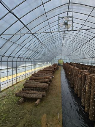 인더숲 님의 버섯 · 영농일지 작성글 사진