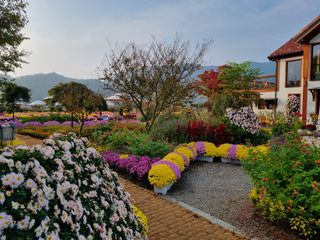 팜모닝회원 정정섭 님의 자유주제 · 사진전 작성글 사진