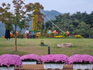 팜모닝회원 정정섭 님의 자유주제 · 사진전 작성글 사진